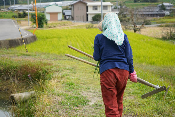 istock Woman working in the field 688230272