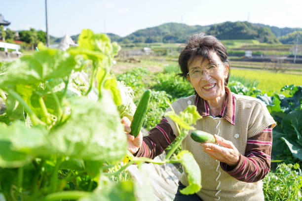 istock Woman working in the field 688230450