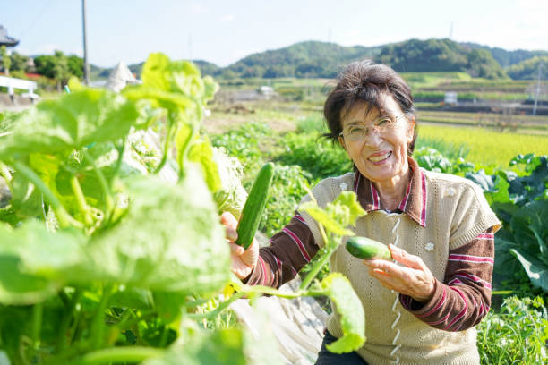 istock Woman working in the field 688230462