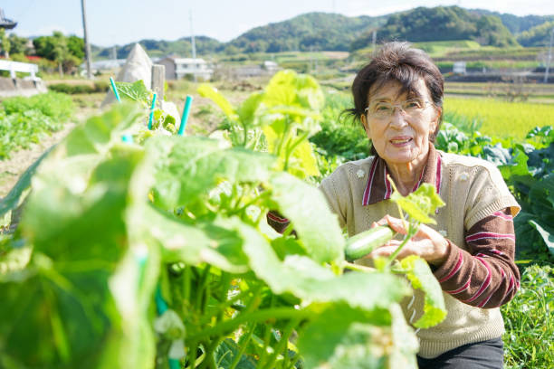 istock Woman working in the field 688230488