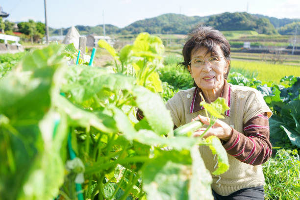 istock Woman working in the field 688230498