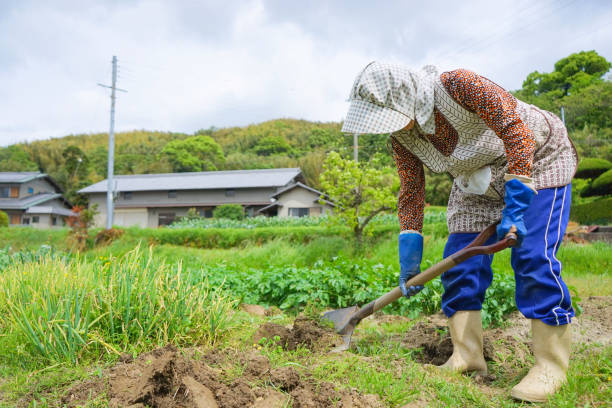 istock Woman working in the field 688230950