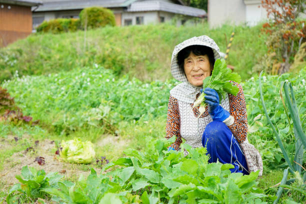 istock Woman working in the field 688231916