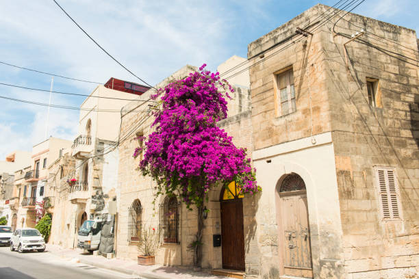 istock Street in Mosta 688233260