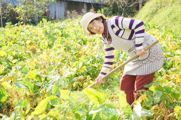 istock Woman working in the field 688233480
