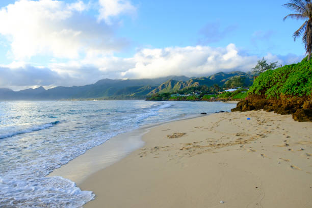 istock Tropical Paradise Beach Oahu Hawaii 688233588