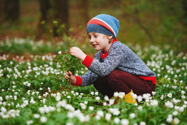 istock little boy in spring forest with many flowers 688233852