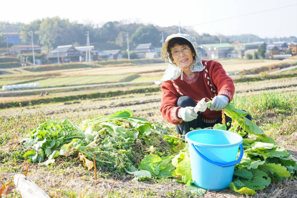 istock Woman working in the field 688233884