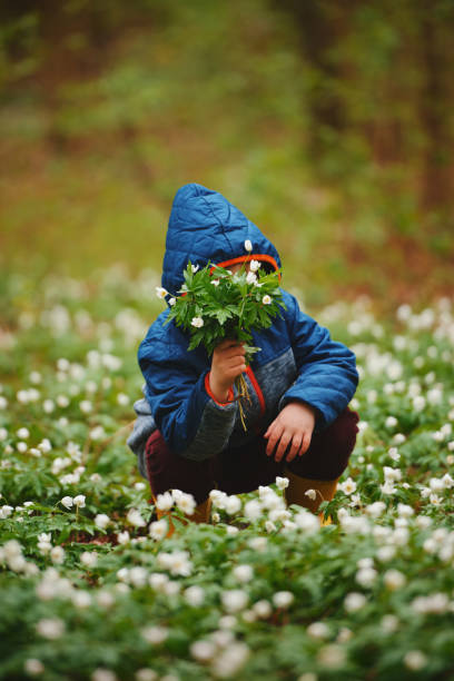 istock little boy in spring forest with many flowers 688234084