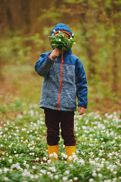 istock little boy in spring forest with many flowers 688234368