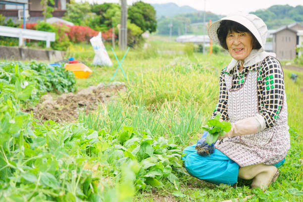 istock Woman working in the field 688234388