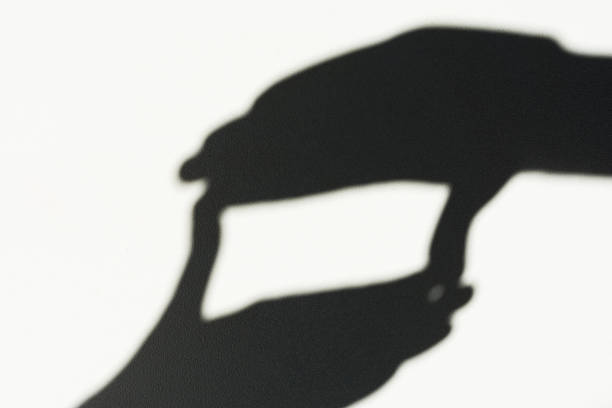 istock Shadow from the hands, photographic frame sign 688239006