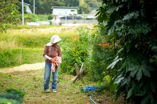 istock Woman working in the field 688239030