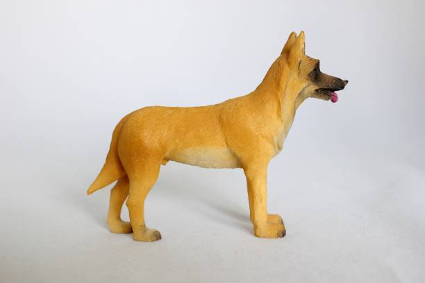 istock Belgian sheepdog dog figurine malinois 688242548