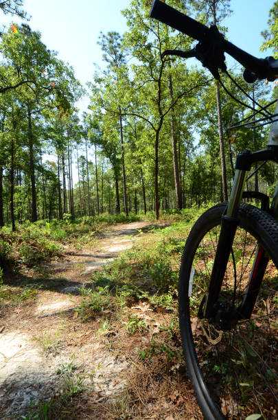 istock Low angle view of mountain bike front on forest trail 688243044