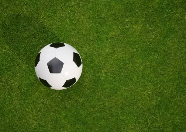 istock 3D rendering Isolated Soccer Ball on grass field 688248756