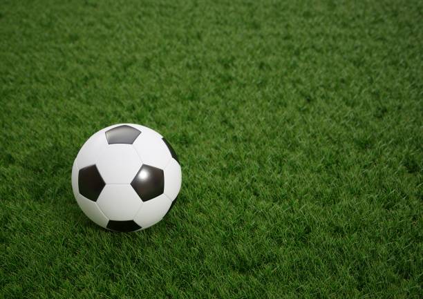 3D rendering Isolated Soccer Ball on grass field.