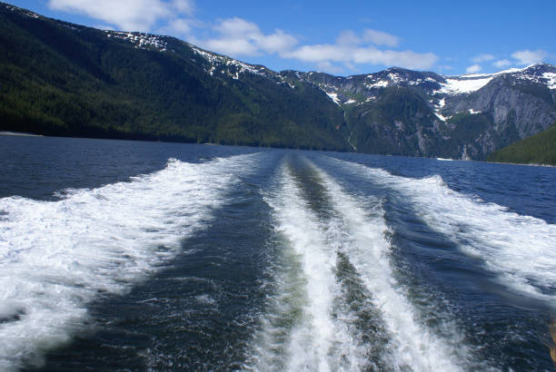 istock Mountains in Tracy Arm Fjord 688261052