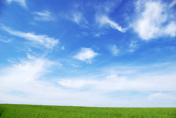 istock green field and blue sky 688266424