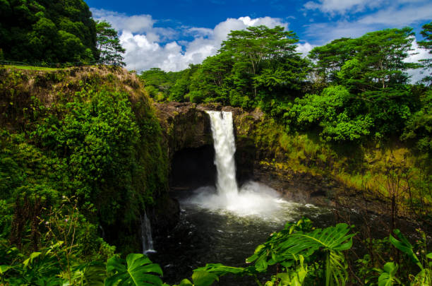 cascada arco iris hawái - large waterfall fotografías e imágenes de stock