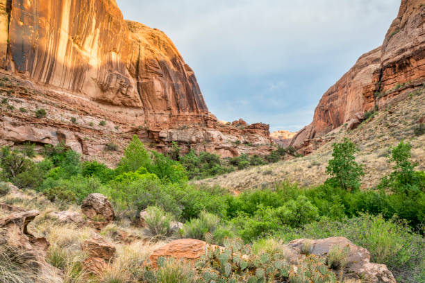 istock sandstone canyon near Moab, Utah 688290508