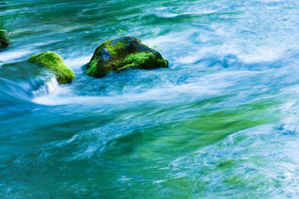 渓流の流れるコケ覆われた岩 - river spring waterfall water ストックフォトと画像