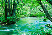 istock Peaceful Mountain Stream Scene in Japan 688295512