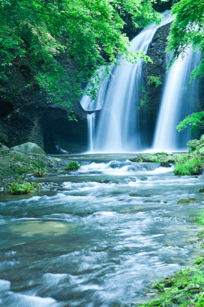 Japanese waterfalls in the forest