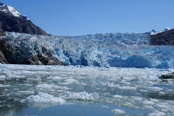 istock Glacial area in Tracy Arm. 688306896