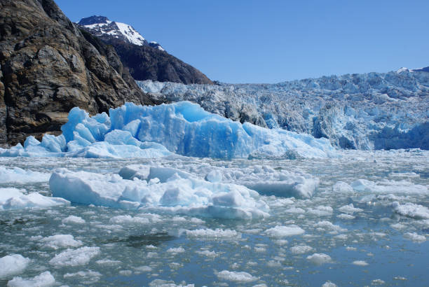 istock Glacial area in Tracy Arm. 688307770