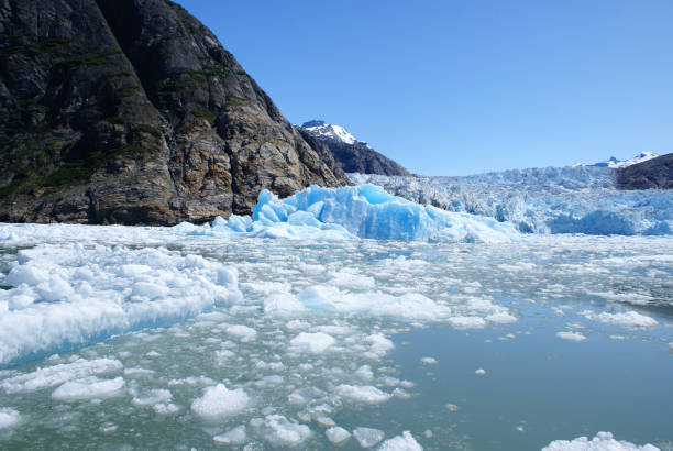 istock Glacial area in Tracy Arm. 688307888