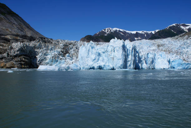 istock Glacial area in Tracy Arm. 688308034