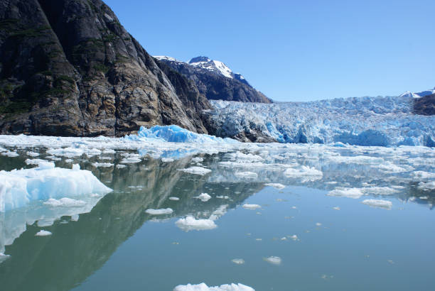 istock Glacial area in Tracy Arm. 688308218