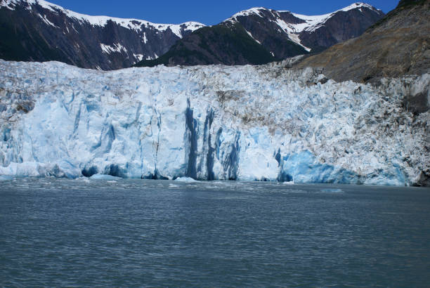 istock Glacial area in Tracy Arm. 688308244
