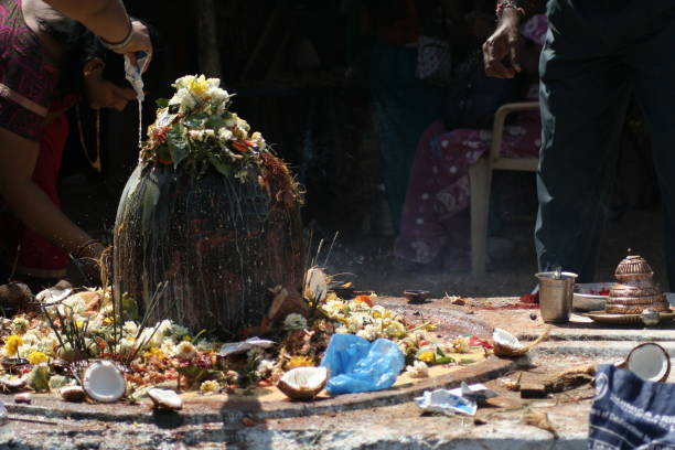 os hindus devotos realizar puja para senhor idol siva esculpida em pedra na maha siva ratri festivalday - shivalinga - fotografias e filmes do acervo