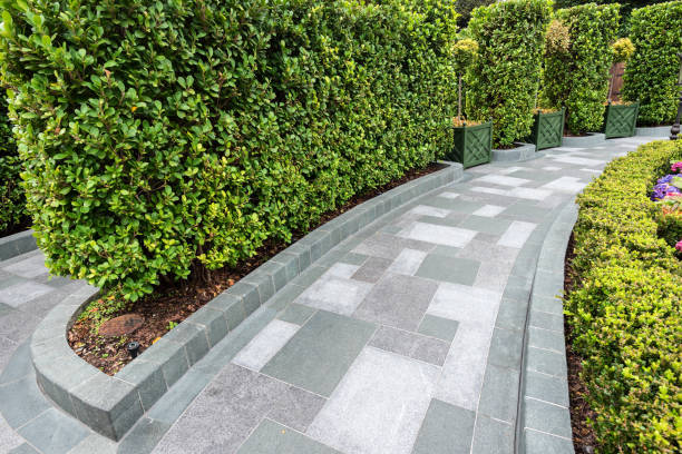 istock Stone brick footpath in garden 688325282