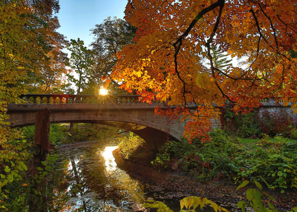 istock Artistic bridge over a river in Wisconsin in Autumn 688335148
