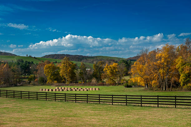 istock Field of Dreams 688335168