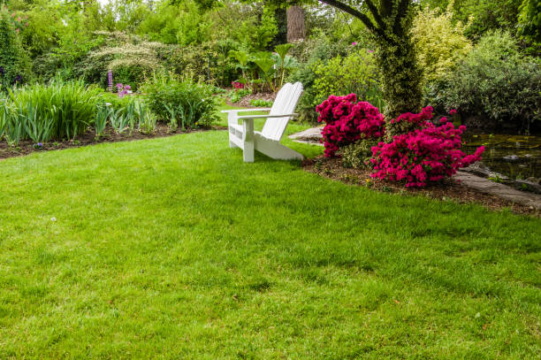 istock Green lawn and shrubs in a garden 688337702