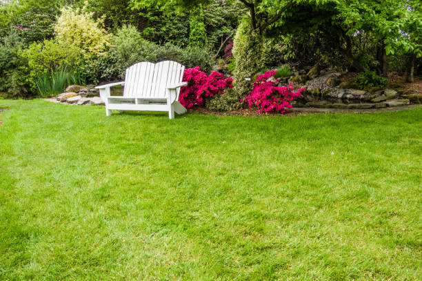 istock Green lawn and shrubs in a garden 688337966