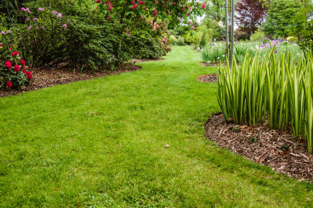istock Green lawn and shrubs in a garden 688340922