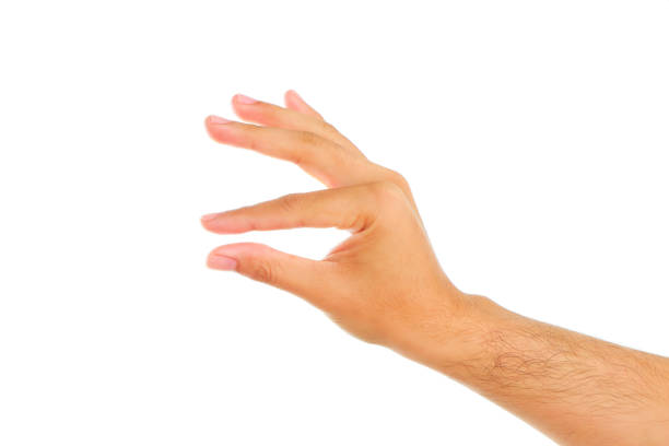 istock Woman hand hold something isolated on white background 688345260