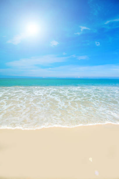 tropical beach tropical beach in sunny day puket stock pictures, royalty-free photos & images