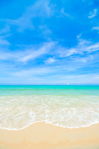 tropical beach tropical beach in sunny day puket stock pictures, royalty-free photos & images