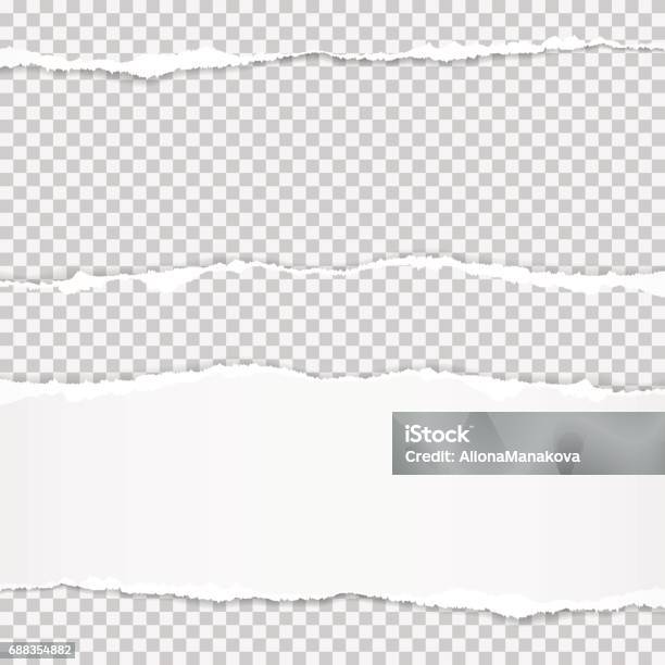 Realistic Vector Torn Paper With Ripped Edges With Space For Your Text Stock Illustration - Download Image Now