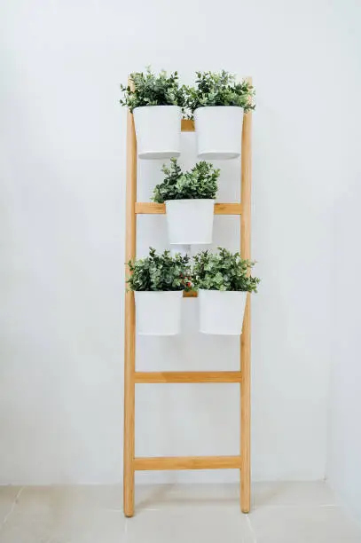 Plant stand with 5 plant pots, bamboo, white"nA decorative ladder plant stand to grow several plants together vertically."nInterior design, room decoration, bathroom,