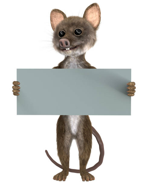 Mouse with a blank board on white vector art illustration