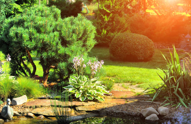 istock beautiful landscaping with beautiful plants 688369188