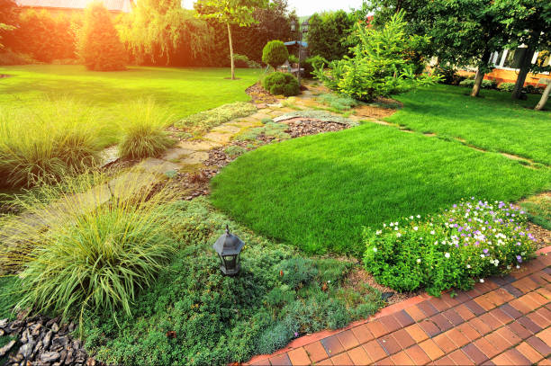 istock beautiful landscaping with beautiful plants 688369236