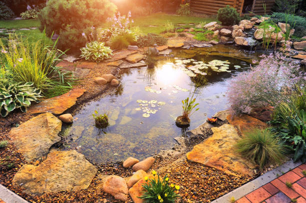 istock beautiful landscaping with beautiful plants 688369632